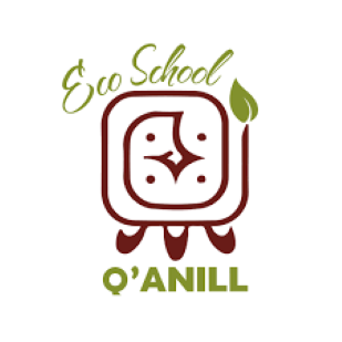 Logo de COLEGIO ECO SCHOOL QANILL