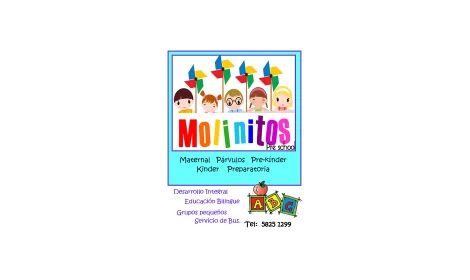 Logo de COLEGIO MOLINITOS