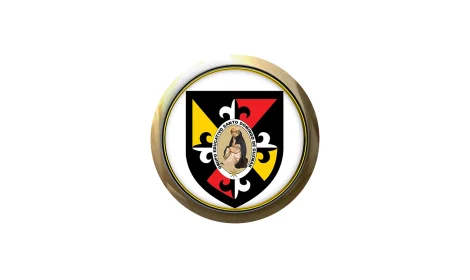 Logo de PREUNIVERSITARIO DOMINGO DE GUZMÁN