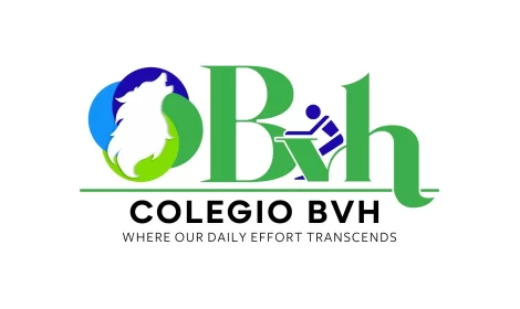 Logo de COLEGIO BILINGüE VISTA HERMOSA